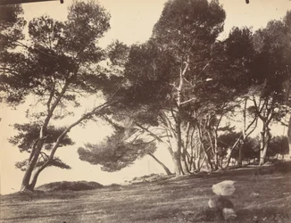 Cannes, Isla Saint Honorat
