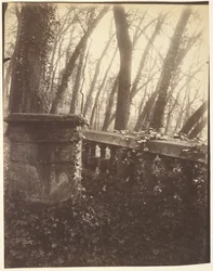 Parque de Saint-Cloud, París