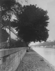Vista del Pont des Arts desde el Terre-Plein de Pont Neuf, 1911