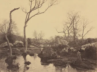 Belle Croix, c. 1858 (foto)