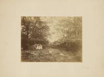 [Estudio del paisaje]