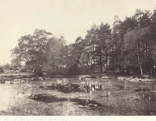 Pantano en Piat (Meseta de Belle-Croix)