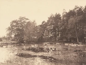 Pantano en Piat (Meseta de Belle-Croix)