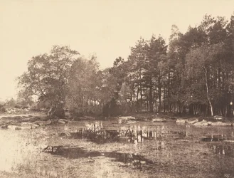 Pantano de Piat (meseta de Belle-Croix), hacia 1863 (foto)