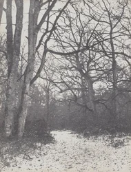 Camino en el bosque, 1860-1863
