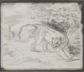 Un tigre atrapado