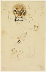 Cabezas y patas de león