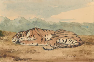 Tigre real