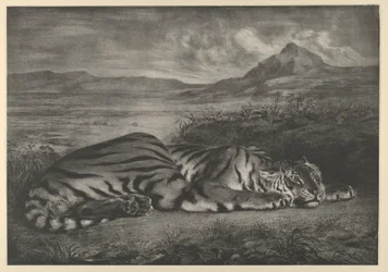 Tigre Real, 1829