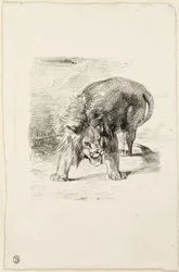 León de Pie