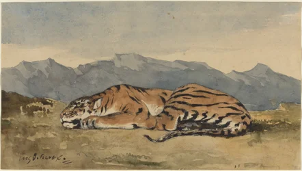 Tigre