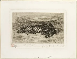 Tigre Descansando en el Desierto