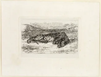 Tigre descansando en el desierto