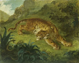 Tigre y serpiente, 1854-1858