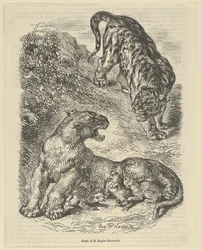 Tigresa atacada por un tigre mientras amamanta a sus crías, 1853