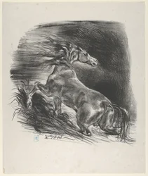 Caballo salvaje, 1828
