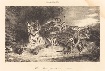 Joven tigre jugando con su madre