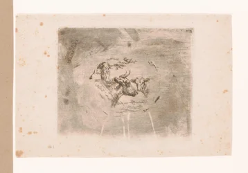 Cabeza de vaca y ternero
