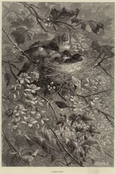 Un círculo hogareño (grabado)