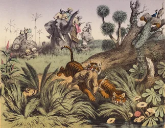 Una cacería en la selva india (litografía en color)