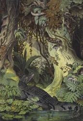 Animales de las selvas del Amazonas en Brasil