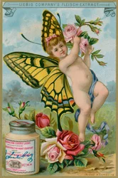 Querubín mariposa con rosas rojas