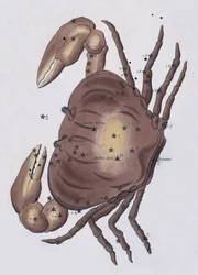 Cáncer