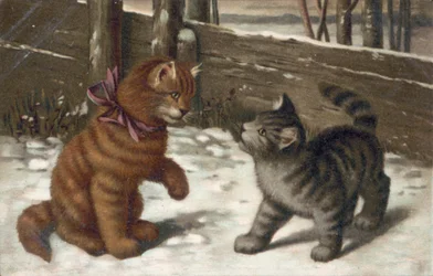 Postal felina (litografía en color)