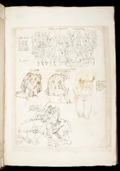 Ms 701 fl.34v, Dibujo incluyendo una vista del Spinario desde atrás, finales del siglo XV
