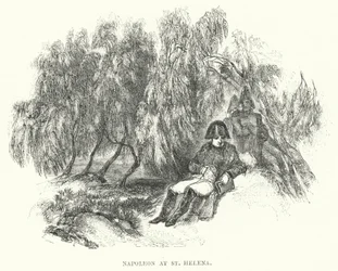 Napoleón en Santa Elena