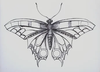 Página de un libro para guardar una colección personal de escudos y monogramas