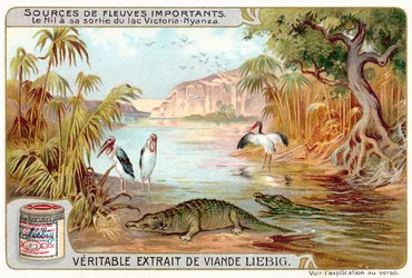 El Nilo al salir del Lago Victoria