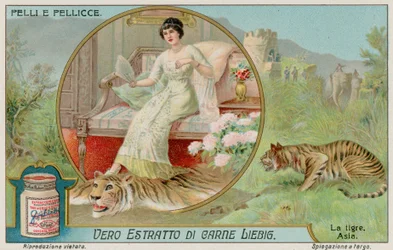 El tigre