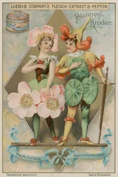 Rosa Silvestre y Capuchina