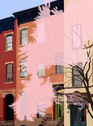 Cerezos en flor, Calle 7, 2025 (arte digital)