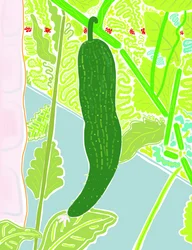 Primer pepino (arte digital)
