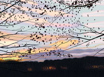 Hawk On Branch, prospect park (arte digital)