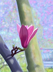 Magnolia en flor (arte digital)