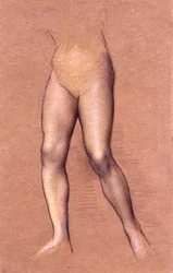 Estudio de figura