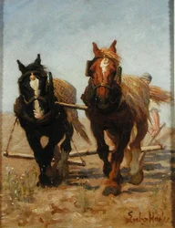 El equipo de arado, Sussex Downs
