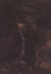 Cascada en un paisaje boscoso