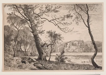 El bosque cerca de Silkeborg hacia el banco de la señora
