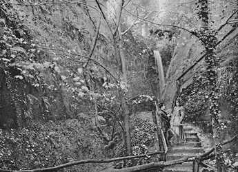 Shanklin Chine, c. 1896