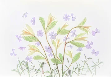 Botánicos pastel flotantes