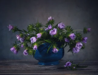 Bodegón con cardos color lavanda