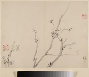 Álbum de ciruelos en flor