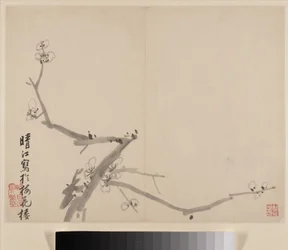 Álbum de ciruelos en flor