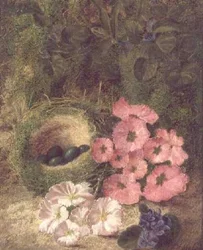 Primavera (nido con rosas de perro)