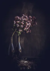 Naturaleza muerta floral rústica