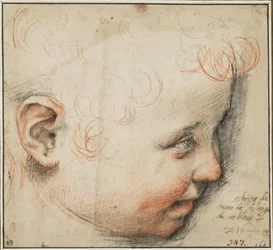 Cabeza de niño de perfil; quizá para el Niño Jesús